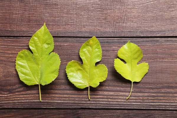 Hojas de otoño en la mesa —  Fotos de Stock