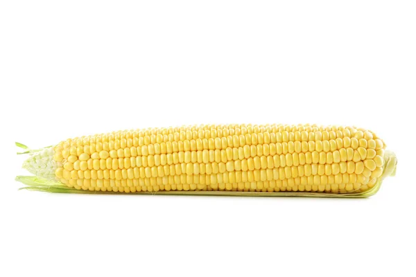 Kukurydza na biały — Zdjęcie stockowe
