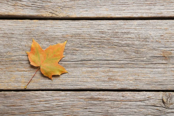 Hoja de otoño en la mesa —  Fotos de Stock