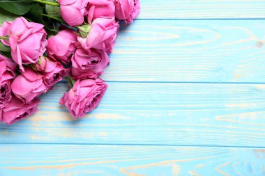 Güzel pembe güller 