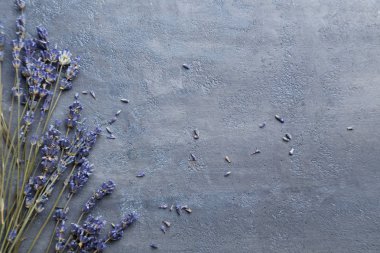 Bir demet lavanta çiçeği.