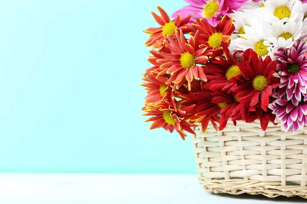 Kasımpatı çiçekleri arka plan üzerinde