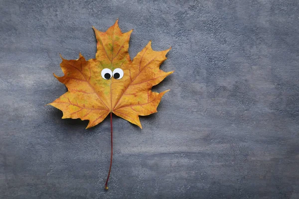 Jesienny liść z googly oczy o — Zdjęcie stockowe