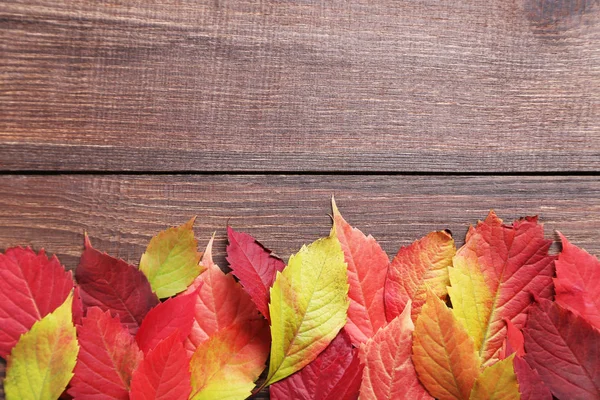 Hojas de otoño sobre mesa de madera — Foto de Stock