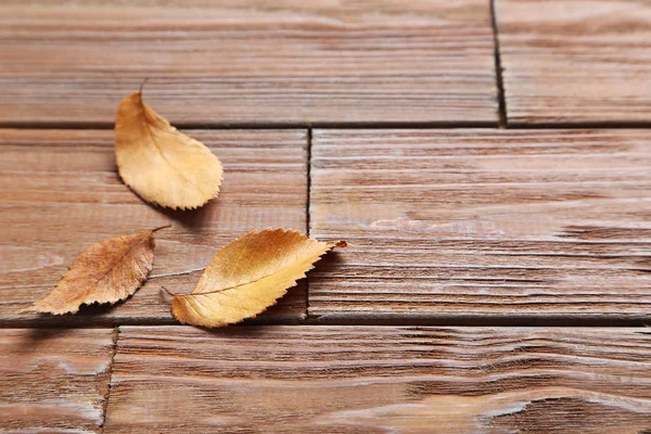 Foglie autunnali sul tavolo di legno — Foto Stock