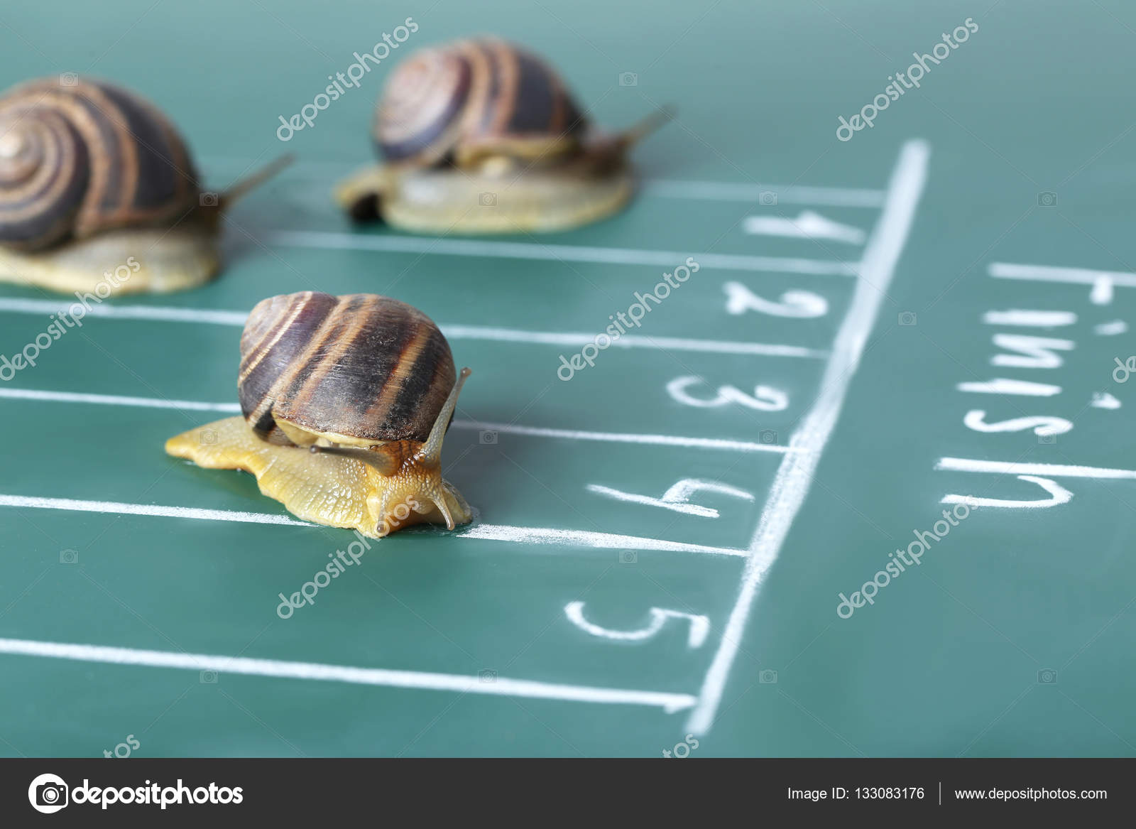 Snails running to the finish line ⬇ Stock Photo, Image by © 5seconds  #133083176
