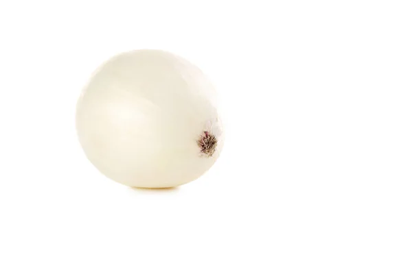 Fresh white onion — Stock Photo, Image