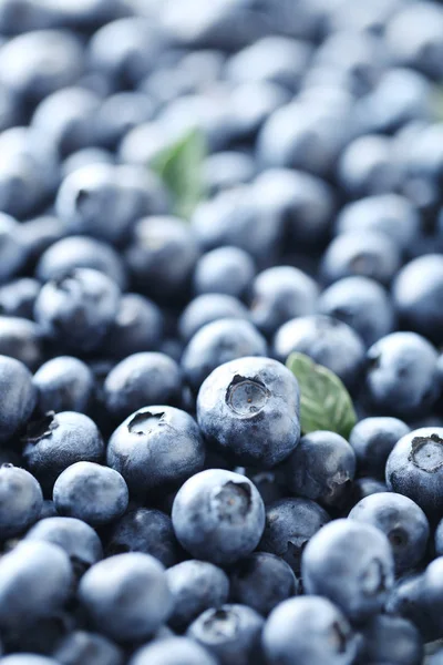 Reife und schmackhafte Blaubeeren — Stockfoto