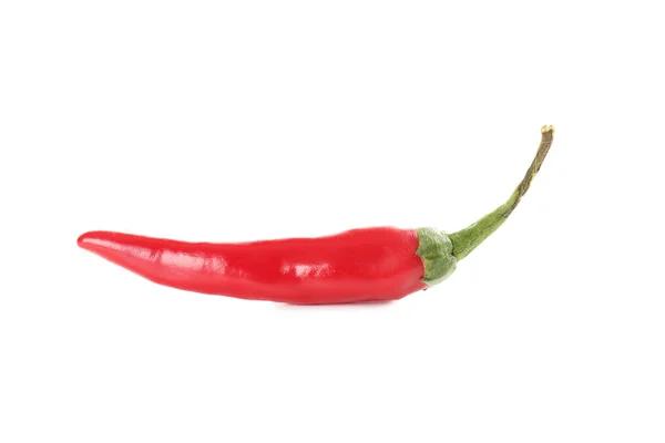 Piros Chili paprika, fehér — Stock Fotó