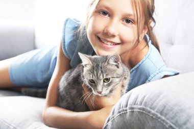 Kanepe üzerinde eller üzerinde güzel Gri kedi