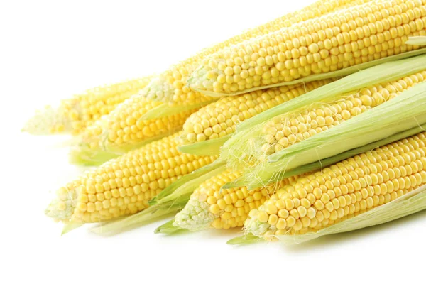 Солодка кукурудза на білому — стокове фото