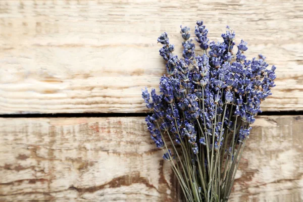 Ramo de flores de lavanda —  Fotos de Stock