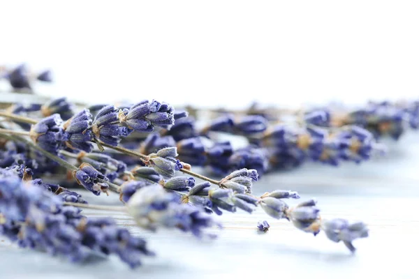 Mazzo di fiori di lavanda — Foto Stock