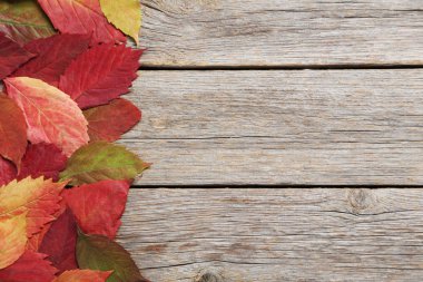 Kırmızı sonbahar bırak