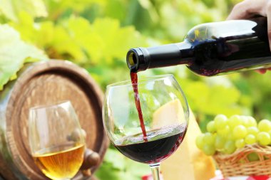 Kırmızı şarabı cama dök.