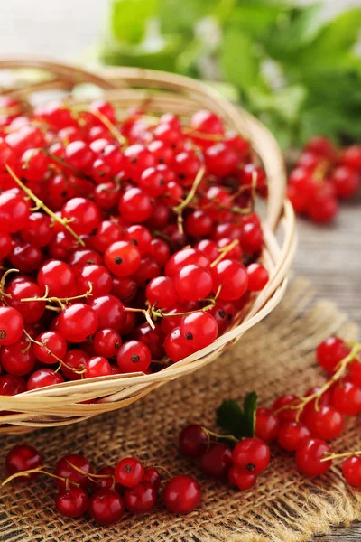 Rote Johannisbeeren im Korb — Stockfoto