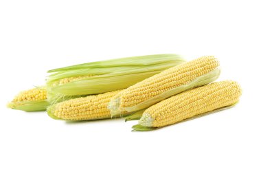 Tatlı corncobs yakın çekim