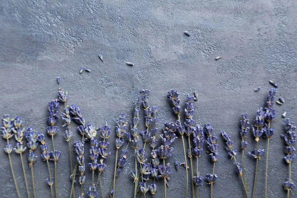 ラベンダーの花の束 — ストック写真