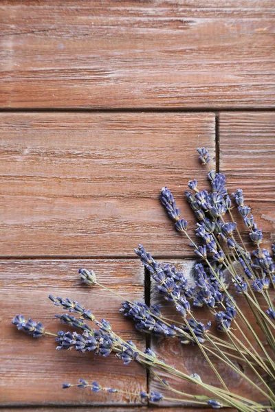 Ramo de flores de lavanda —  Fotos de Stock