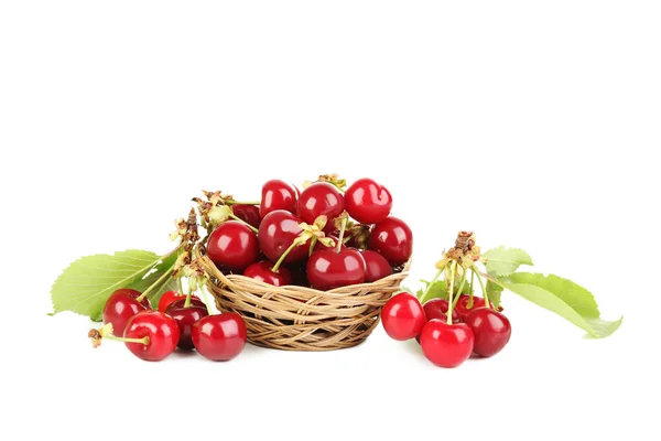 Cerises rouges dans le panier — Photo