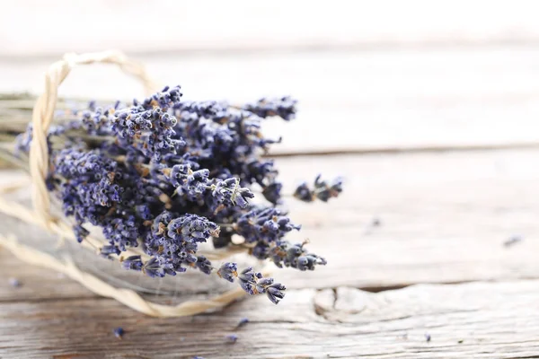 Bunch of lavender flowers — Stock Photo, Image