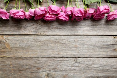 Güzel pembe güller