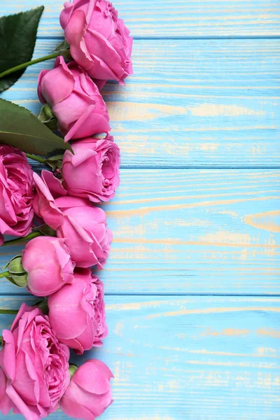 Beautiful pink roses — Stock Photo, Image