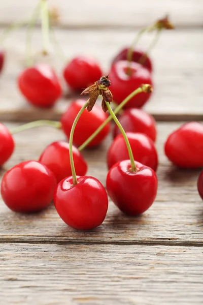 Cerises rouges mûres — Photo