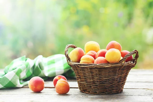 Свіжі абрикоси в кошику — стокове фото