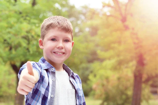 Kleine jongen weergegeven: Oke teken — Stockfoto