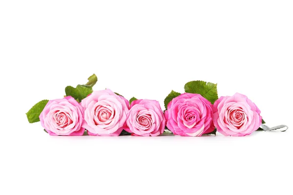 Strauß rosa Rosen — Stockfoto