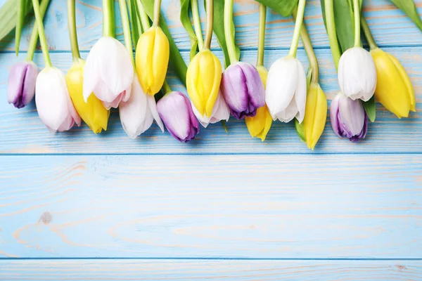 Tulipes sur table bleue — Photo