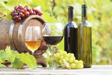 Gözlük ile üzüm şarap