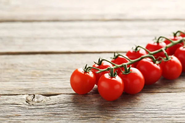 Cherry tomatoes branch — Stock Photo, Image