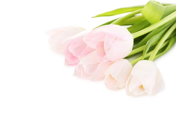 Strauß schöner Tulpen — Stockfoto