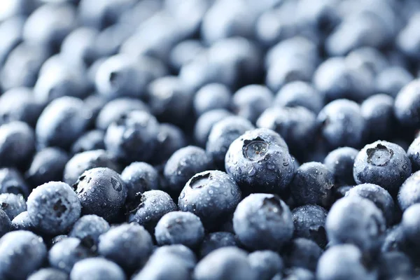 Ripe and tasty blueberries — Stock Photo, Image