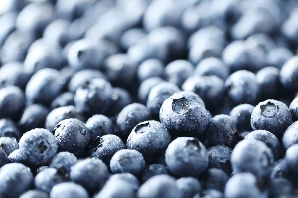 Reife und schmackhafte Blaubeeren — Stockfoto