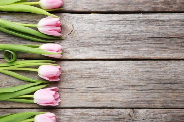 Doğrultusunda Pembe Laleler