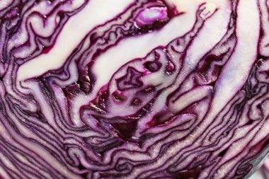 Olgun kırmızı lahana 