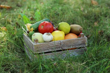 Olgunlaşmış meyve ve sebzeler 