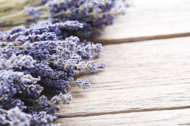 Bir demet lavanta çiçeği.