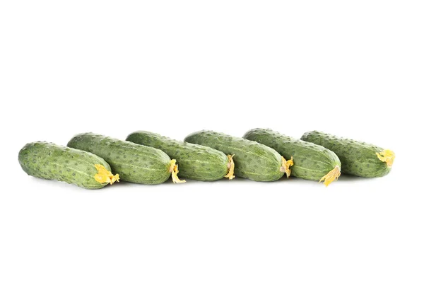 Verse komkommers in rij — Stockfoto