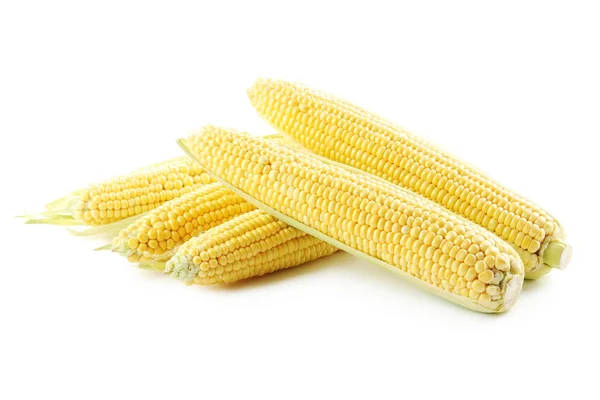 Ripe Sweet corn — Stock Photo, Image