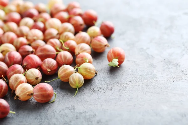 Frutti freschi di uva spina raccolti — Foto Stock