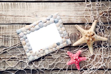 çerçeve deniz kabukları 