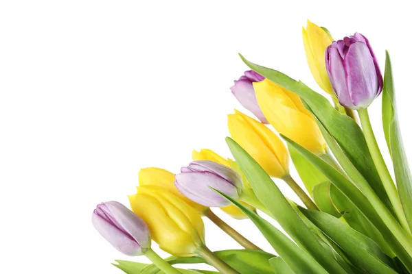 Ramo de hermosos tulipanes —  Fotos de Stock