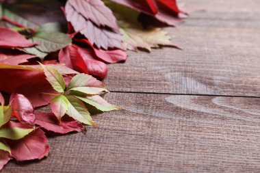 kahverengi ahşap masa yapraklarda