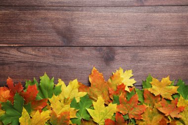 kahverengi ahşap masa yapraklarda