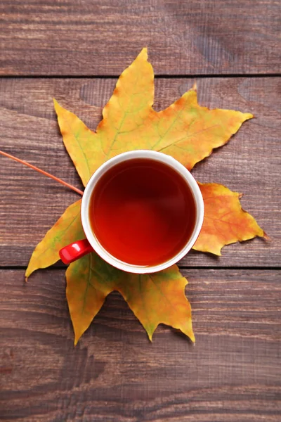 Autumn leaf with cup of tea — Stock Photo, Image