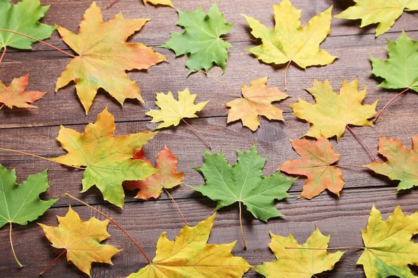 Листья на коричневом столе — стоковое фото